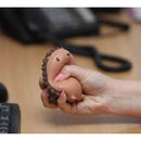 Stress Toy - Stress Hog - SpectrumStore SG