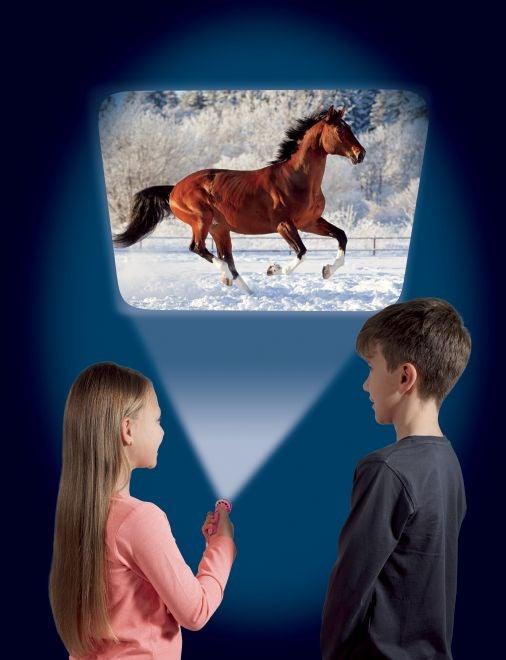 Torch & Projector: Horse - SpectrumStore SG