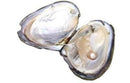 Wish Pearl: Friendship - SpectrumStore SG