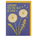 'Wishing You The Best Luck' Dandelion Illustration Good Luck Card - SpectrumStore SG