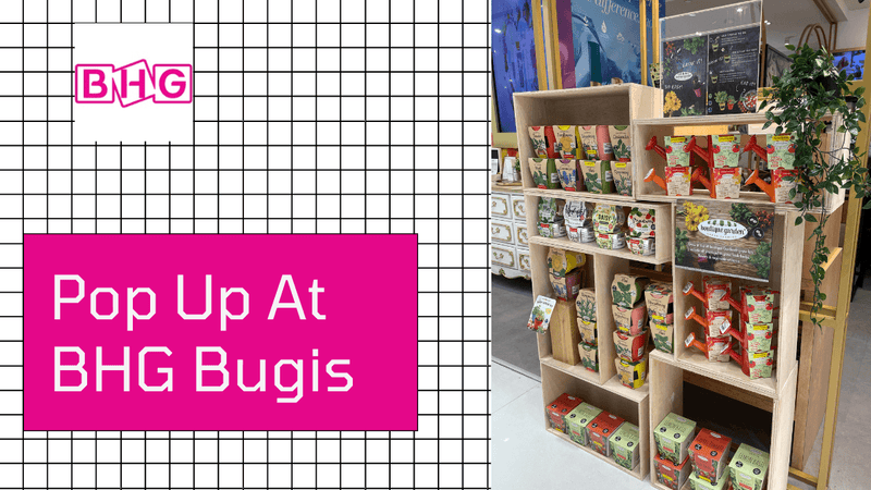 Boutique Garden Pop Up At BHG Bugis Junction Beauty Library - SpectrumStore SG