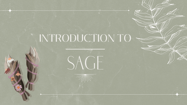 Introduction to Sage - SpectrumStore SG