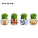 Grow Your Own Kits - Jungle Adventure