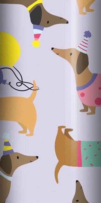 2.5 Metres Kids Giftwrap - Balloons & Jungle