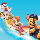 Torch & Projector: PAW Patrol