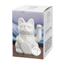 Lucky Cat Classic - White