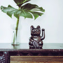 Lucky Cat Classic - Shiny Black