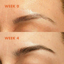 Let It Thrive - Eyebrow Serum