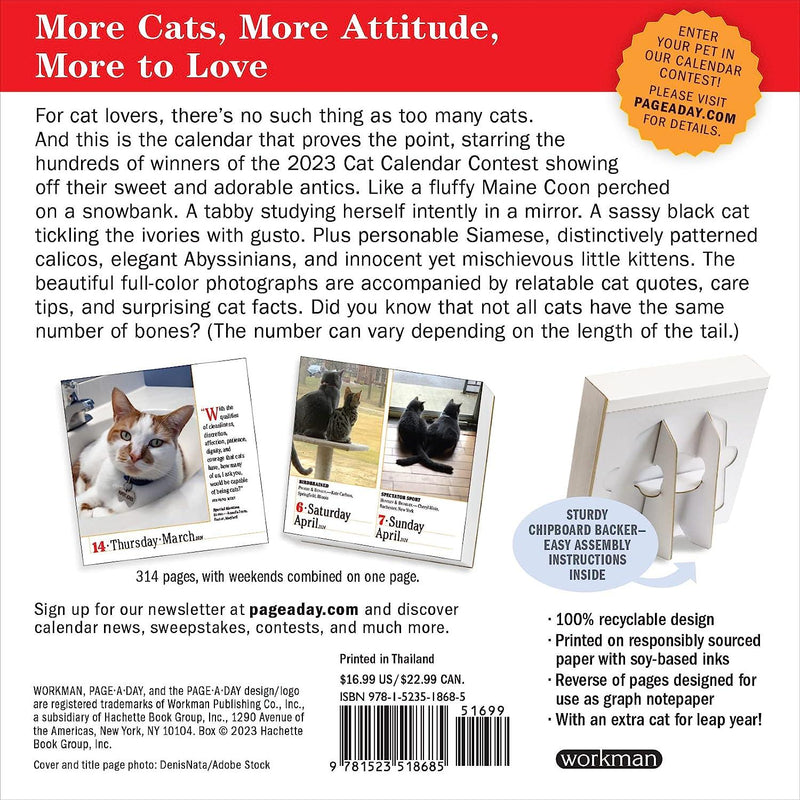 365 Cats Page-A-Day Calendar 2024 - SpectrumStore SG