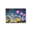 Singapore Postcard - Flower Dome