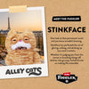 Alley Cat 9" Plush  - Stickface
