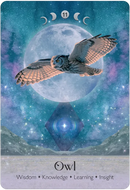 Lunar Magic Oracle