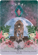 Lunar Magic Oracle