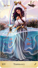 Stardust Wanderer Tarot