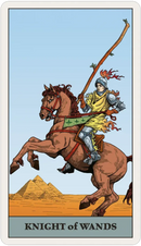 Tarot Vitae