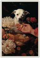 The Haptic Tarot