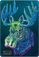Echoes Of The Wild Souls: Spirit Animals Of The Slavic And North Lands