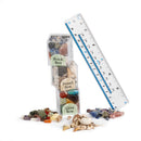 Mini Fossil Box Pack