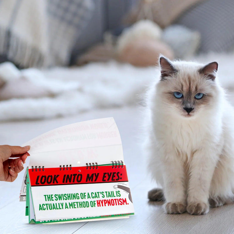 Flipbook - 50 Ways Your Cat is Trying to Kill You