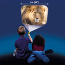 Torch & Projector - Animals