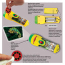 Torch & Projector - Animals