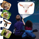 Torch & Projector - Funny Animals