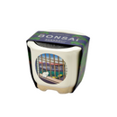 Bonsai Growing Kit - Cat with Fiji - Black Pine