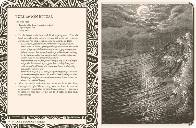 Book - Lost Book of Spells