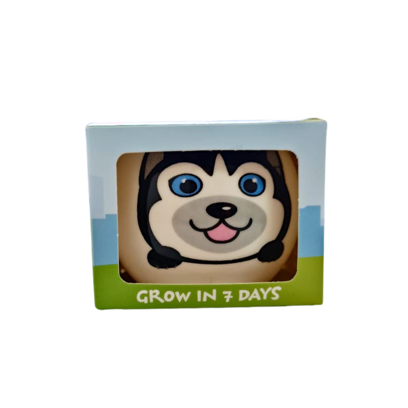 Grow Your Own Kits - Adopt A Puppy