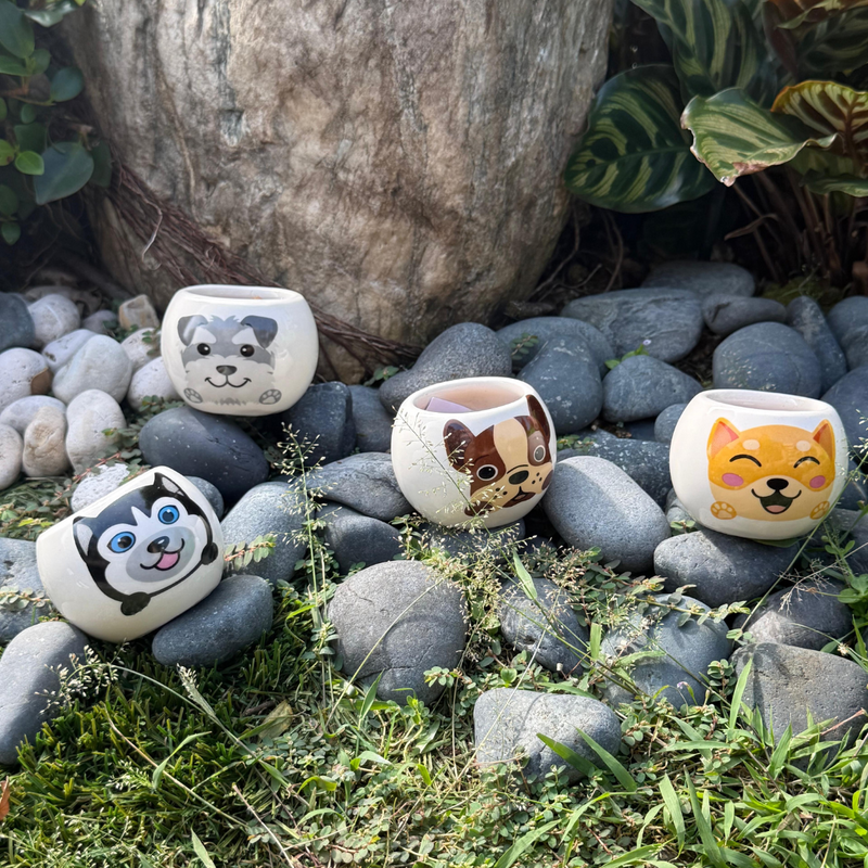 Grow Your Own Kits - Adopt A Puppy
