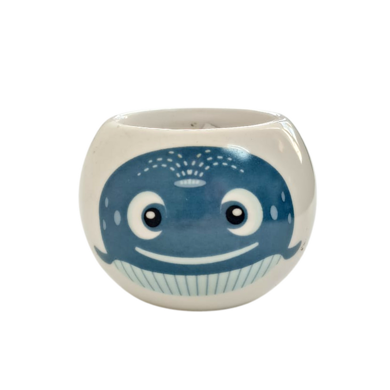 Grow Your Own Kits - Ocean Adventure