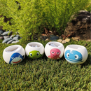 Grow Your Own Kits - Ocean Adventure