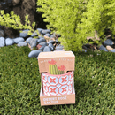 Succulent Collection: Cactus