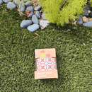 Succulent Collection: Cactus