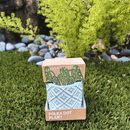 Succulent Collection: Polka Dots