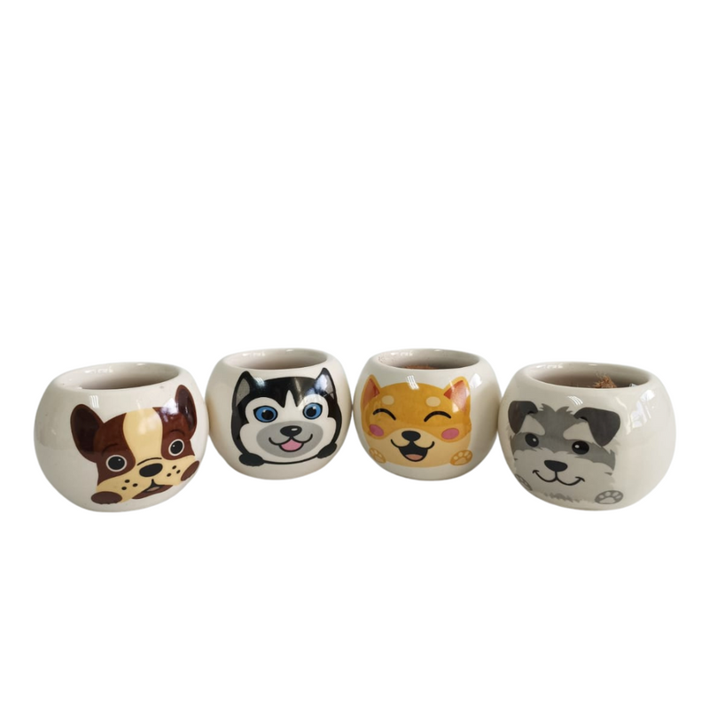 Grow Your Own Kits - Adopt A Puppy
