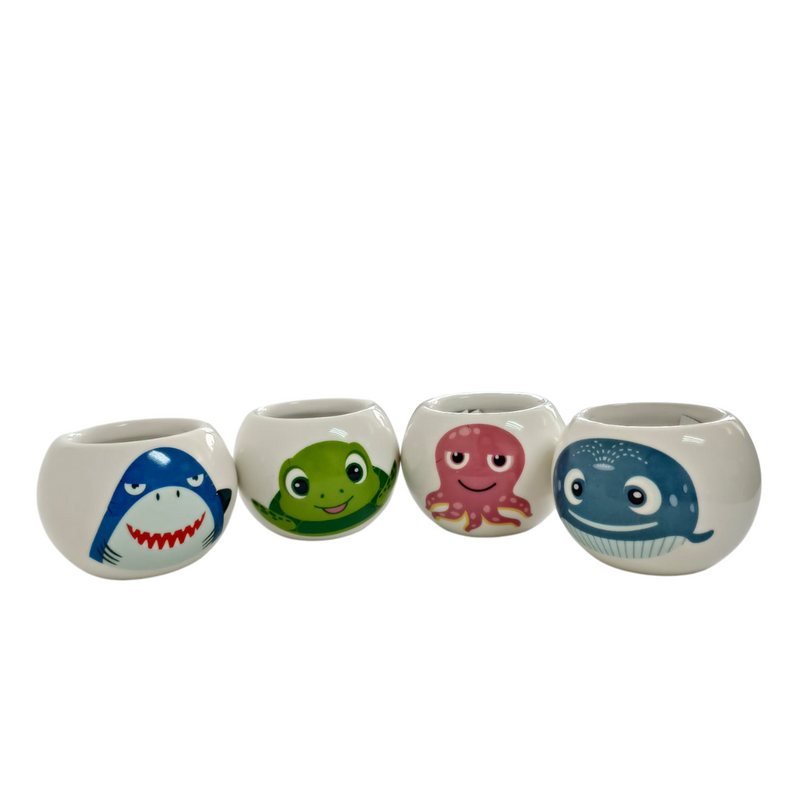 Grow Your Own Kits - Ocean Adventure