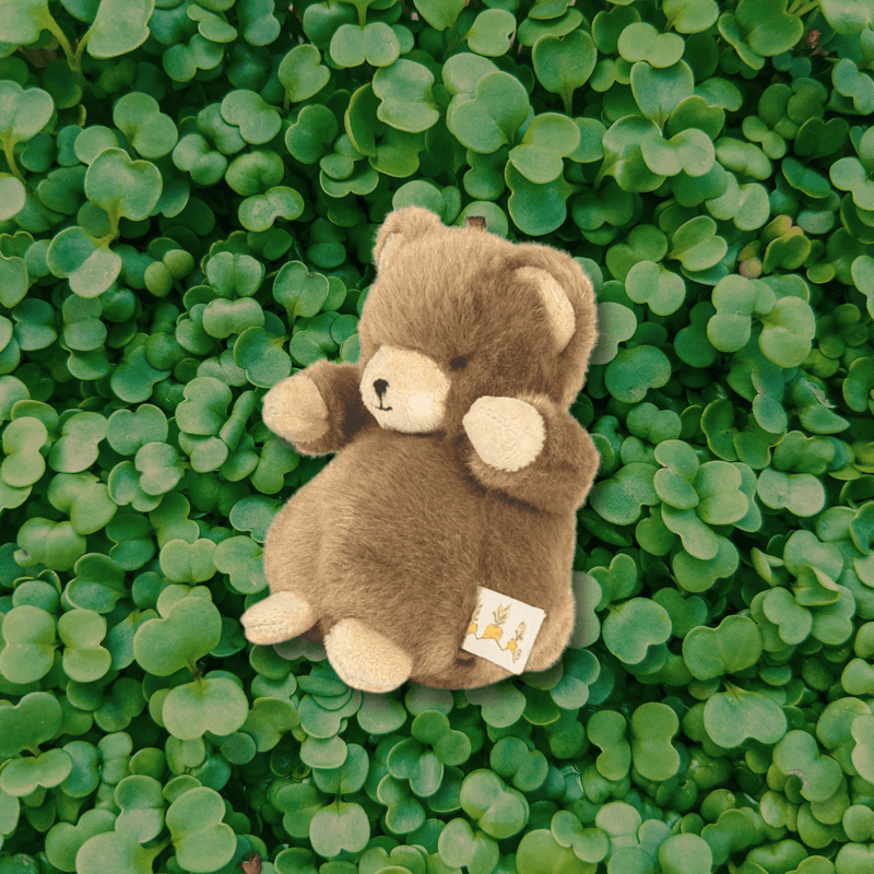 Cubby The Bear Keychain