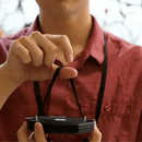 Origami Lanterns - Candace Wheeler Bees