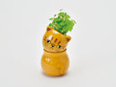 Corocoro Cat Growing Kit - Mint