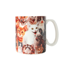 Crazy Cat Lady Mug
