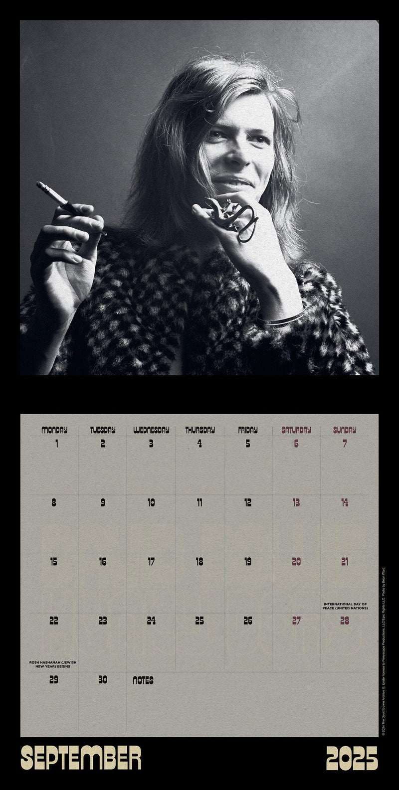 David Bowie 2025 Collector's Edition Record Sleeve Calendar