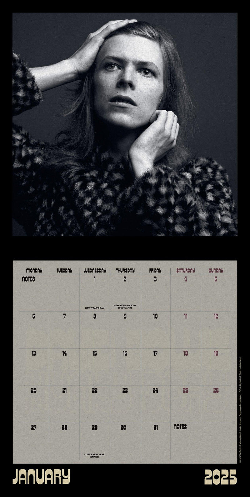 David Bowie 2025 Collector's Edition Record Sleeve Calendar