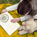 Forest Floor Extra Large Outdoor - Yellow