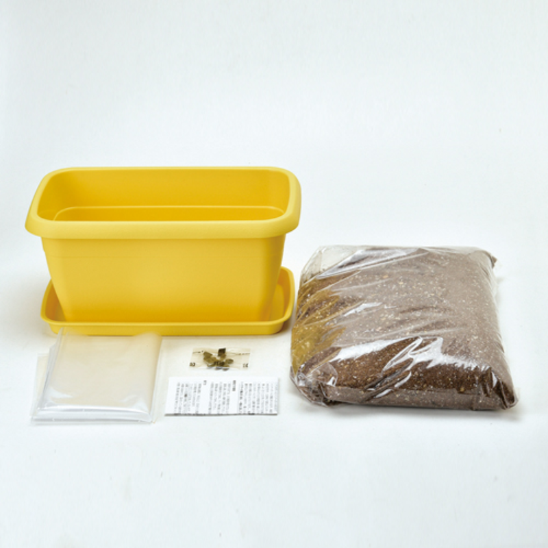 Enjoy Planter - Mini Tomato