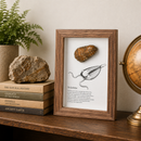 Framed Fossils