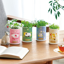 Flavor Herbs -  Chamomile