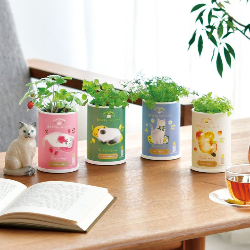 Flavor Herbs - Apple Mint