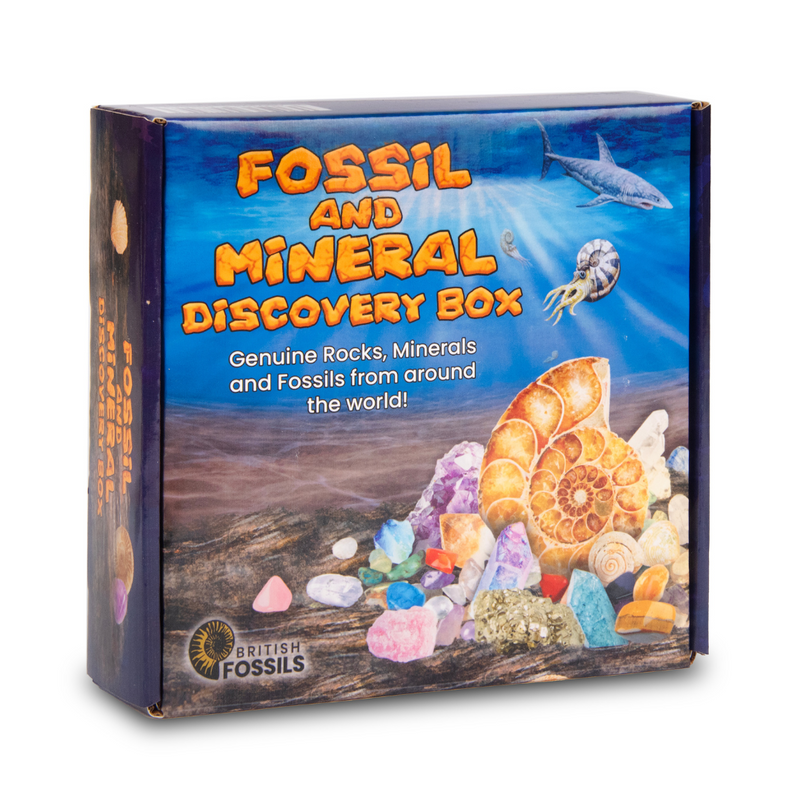 Fossil & Mineral Kit