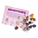 Fossil & Mineral Kit